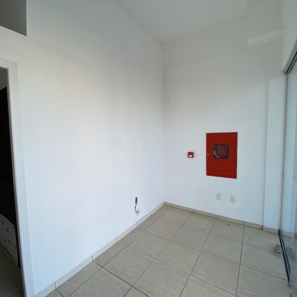 Gallery Thumb 1