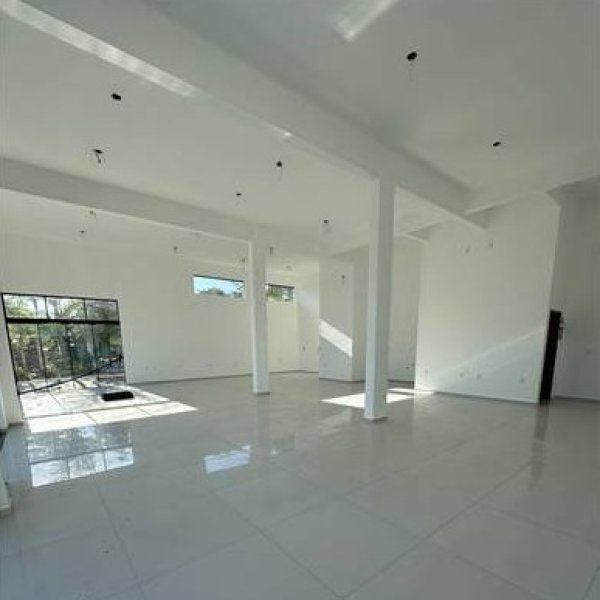 Gallery Thumb 1